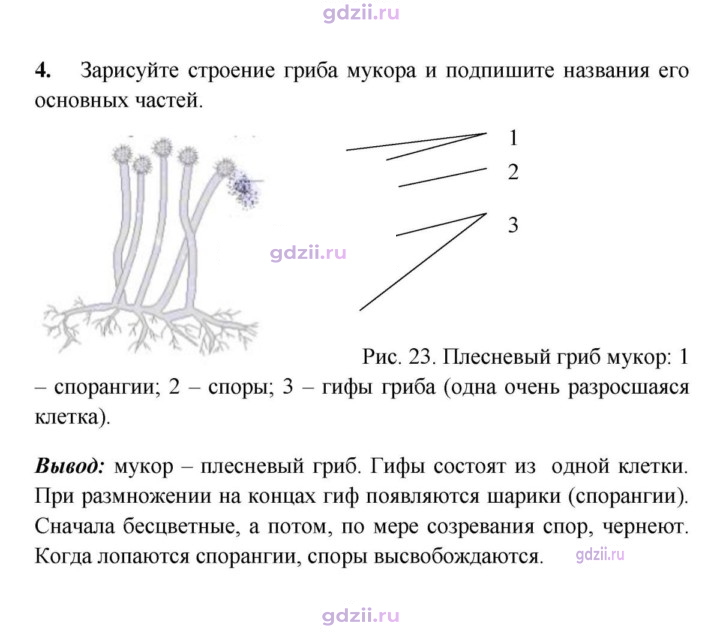 Скан решения номера 4