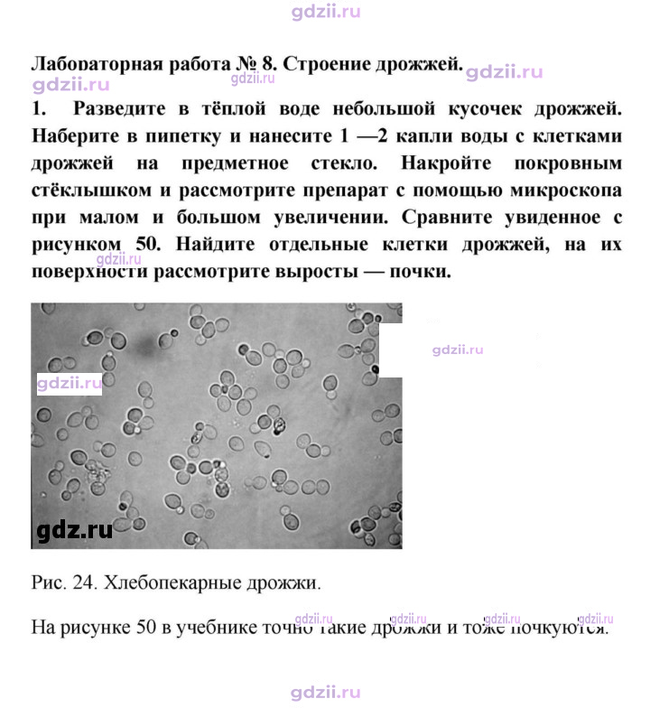 Скан решения номера 1