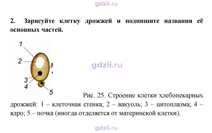 Скан решения номера 2