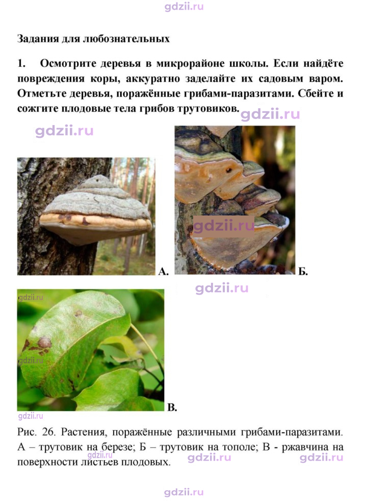 Скан решения номера 1
