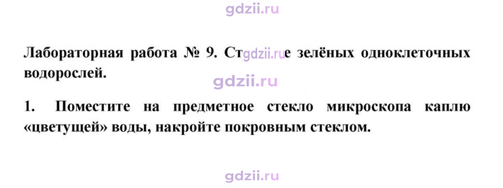 Скан решения номера 1