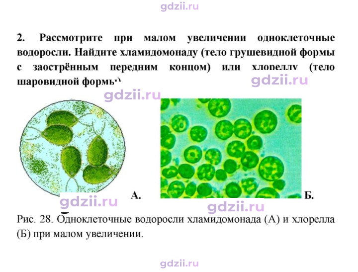 Скан решения номера 2