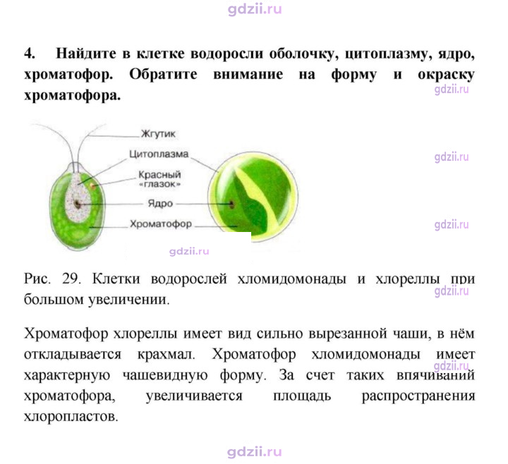 Скан решения номера 4