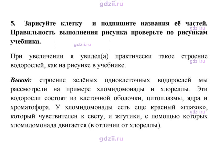 Скан решения номера 5