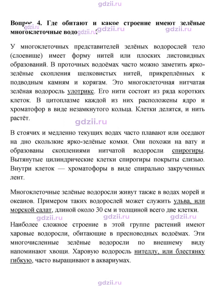 Скан решения номера 4