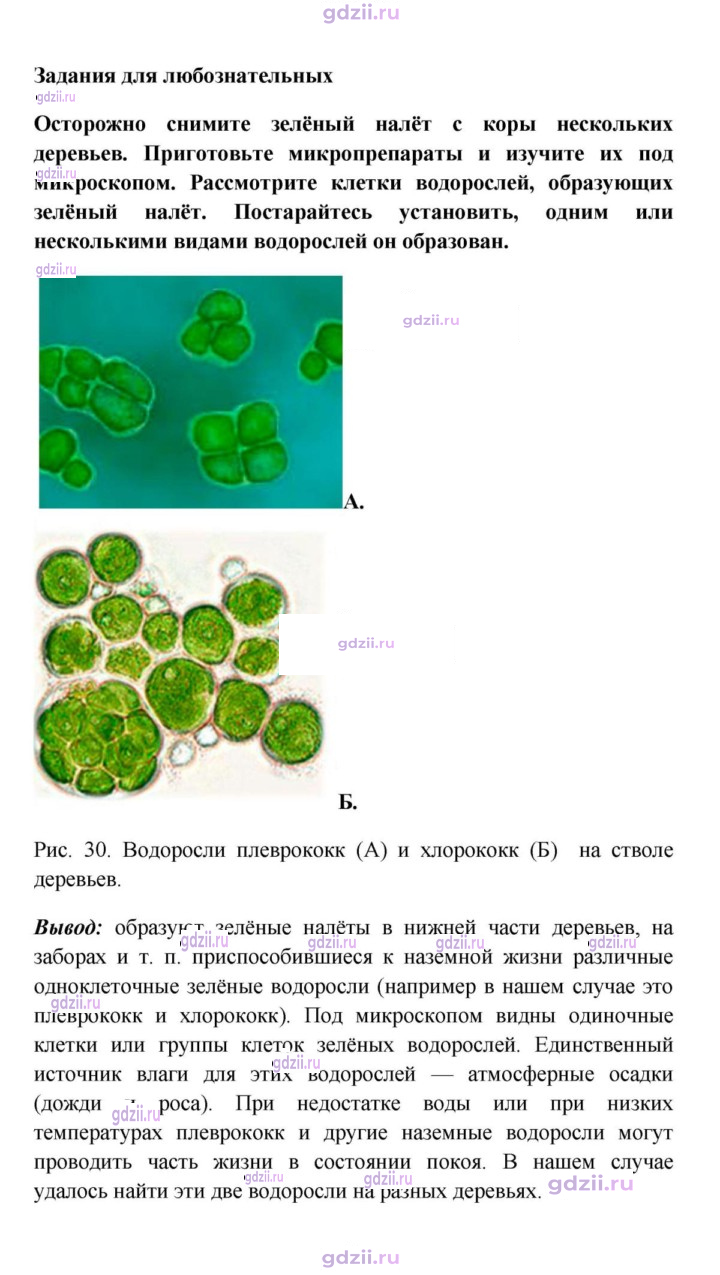 Скан решения номера 1