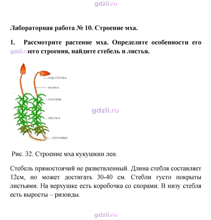 Скан решения номера 1
