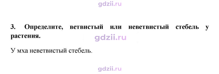 Скан решения номера 3