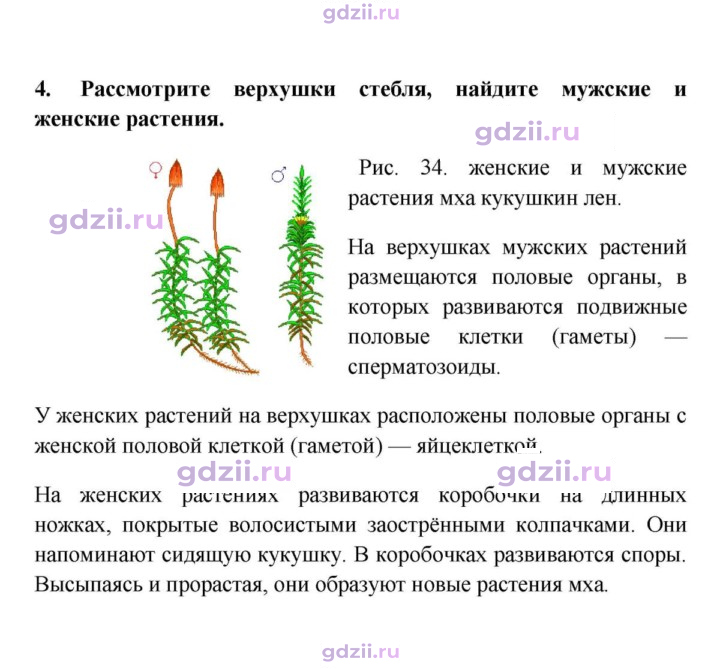 Скан решения номера 4
