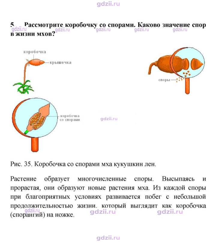 Скан решения номера 5