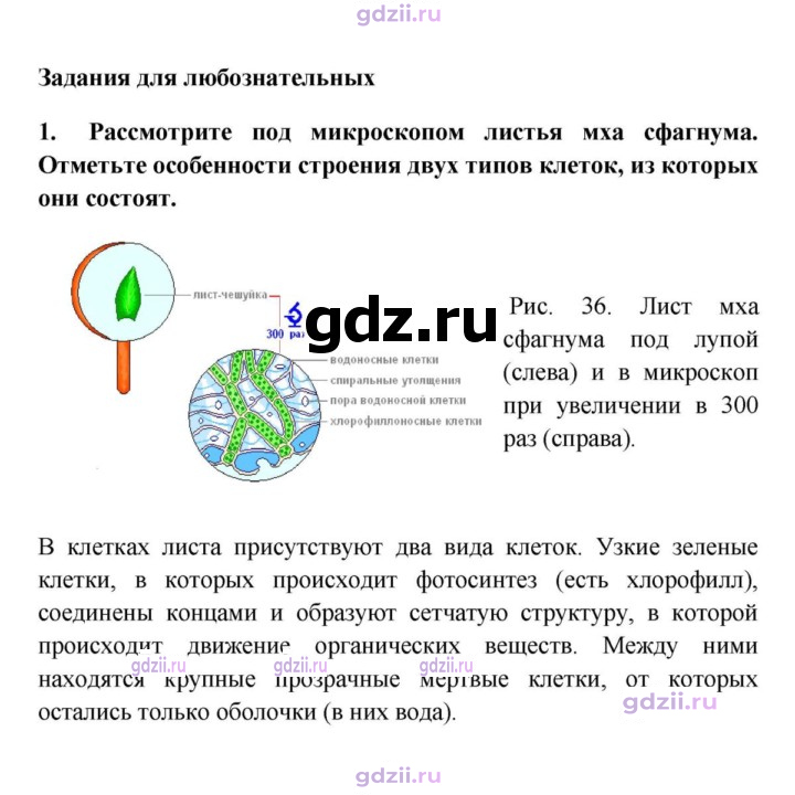 Скан решения номера 1