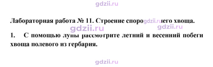 Скан решения номера 1
