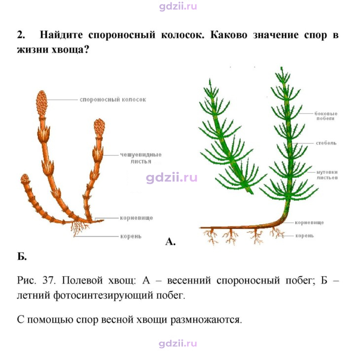 Скан решения номера 2