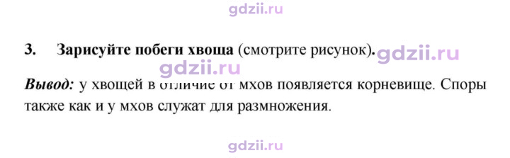 Скан решения номера 3