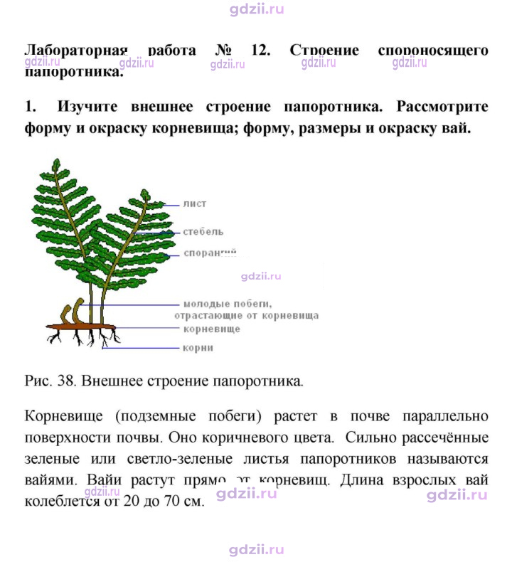 Скан решения номера 1