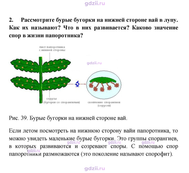 Скан решения номера 2