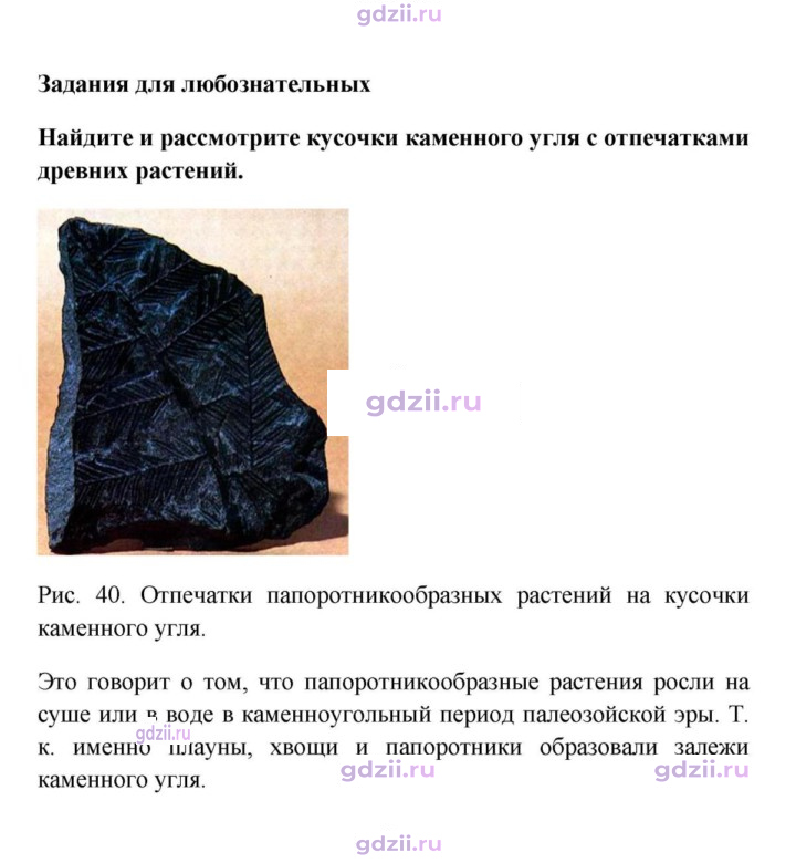 Скан решения номера 1