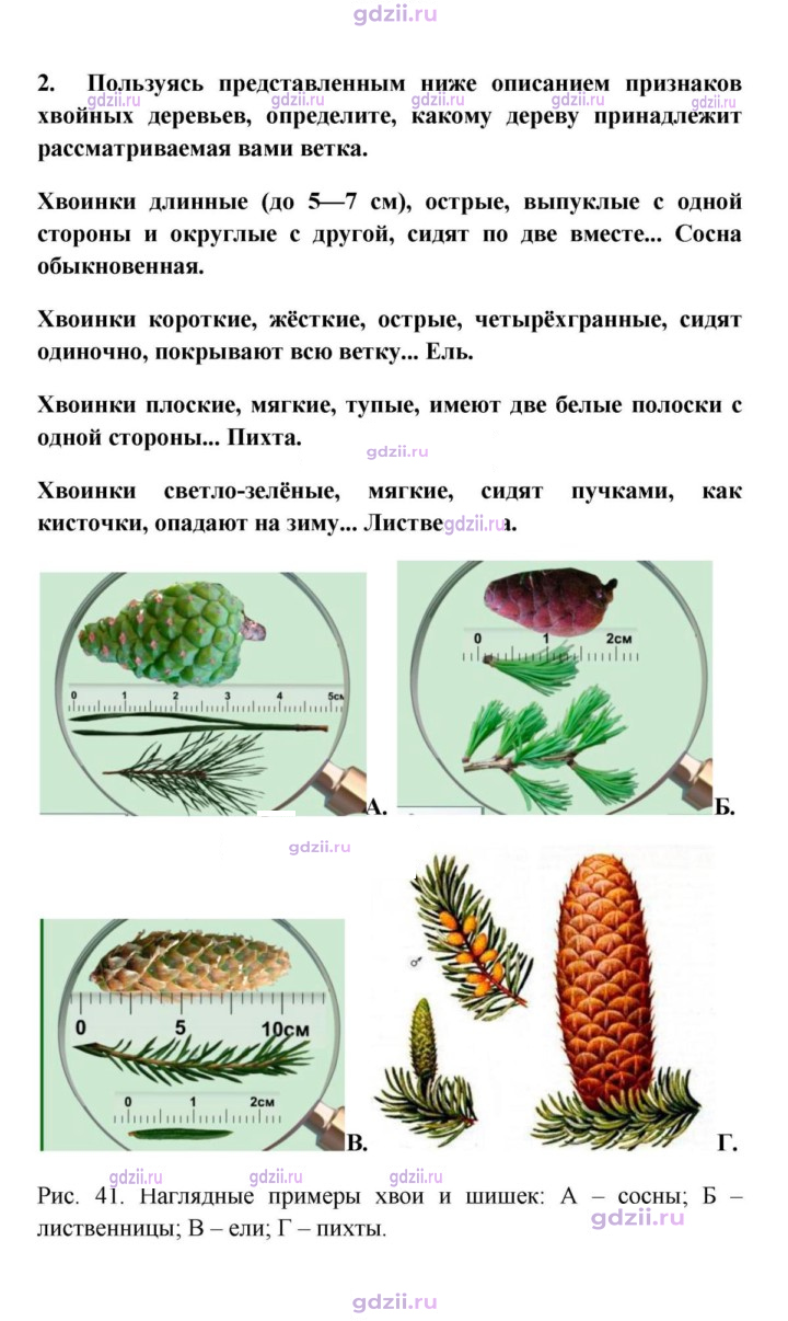 Скан решения номера 2