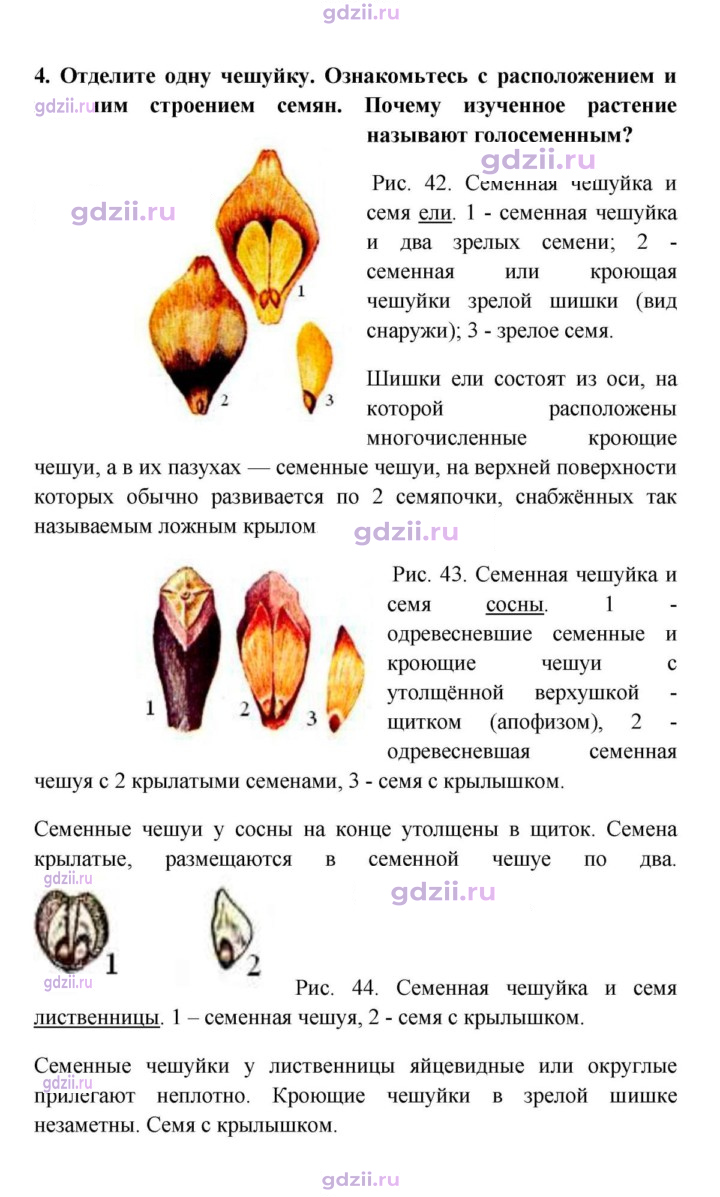 Скан решения номера 4