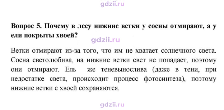 Скан решения номера 5