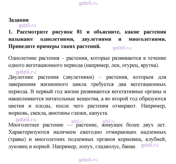 Скан решения номера 1