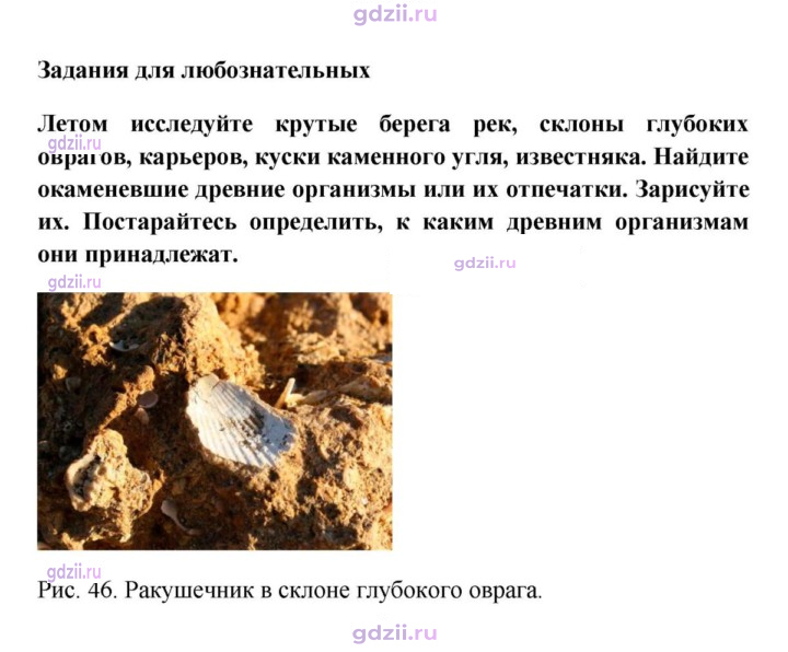 Скан решения номера 1