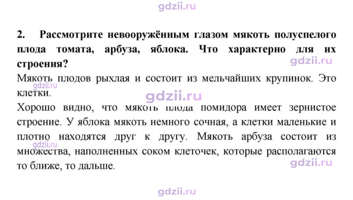 Скан решения номера 2