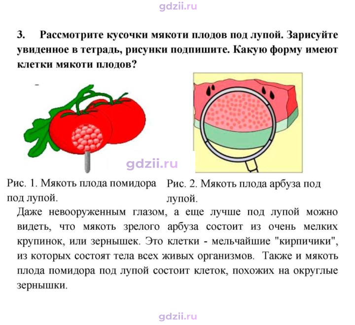 Скан решения номера 3