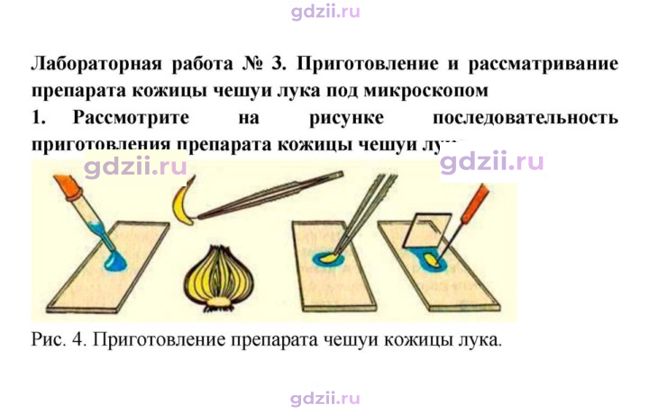 Скан решения номера 1