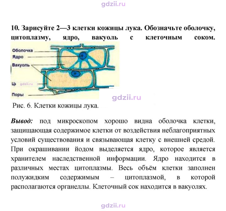 Скан решения номера 10