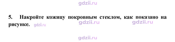 Скан решения номера 5