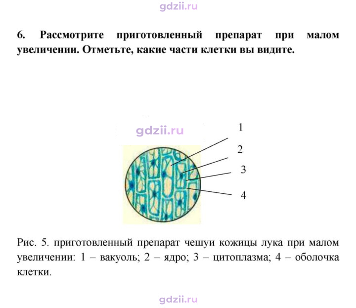 Скан решения номера 6