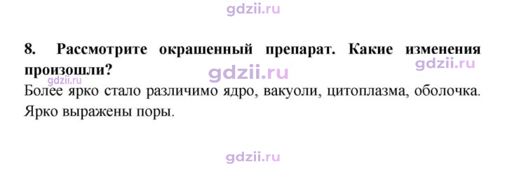 Скан решения номера 8