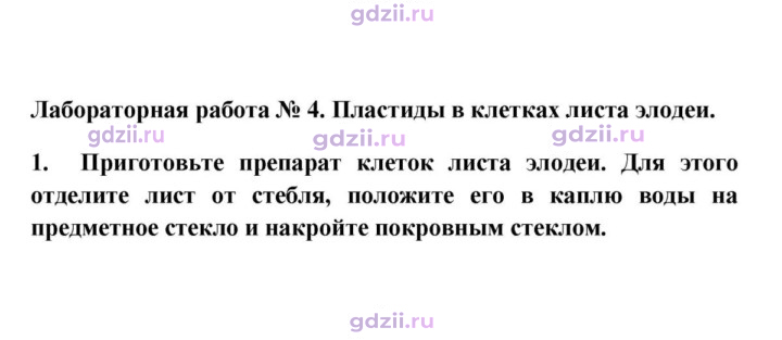 Скан решения номера 1