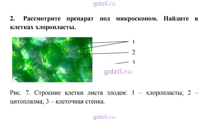 Скан решения номера 2