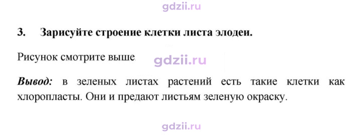 Скан решения номера 3