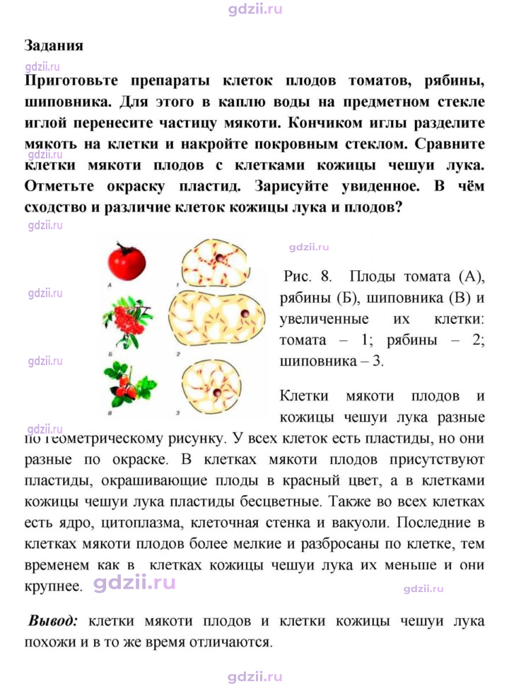Скан решения номера 1
