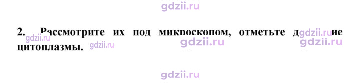 Скан решения номера 2