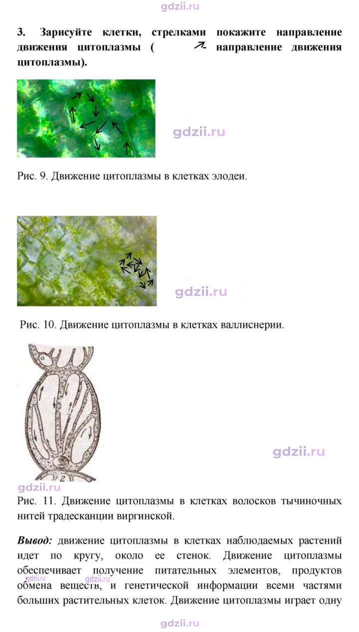 Скан решения номера 3