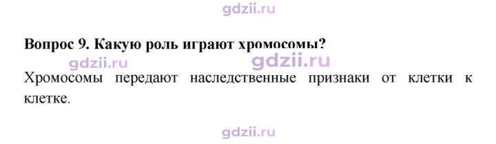 Скан решения номера 9