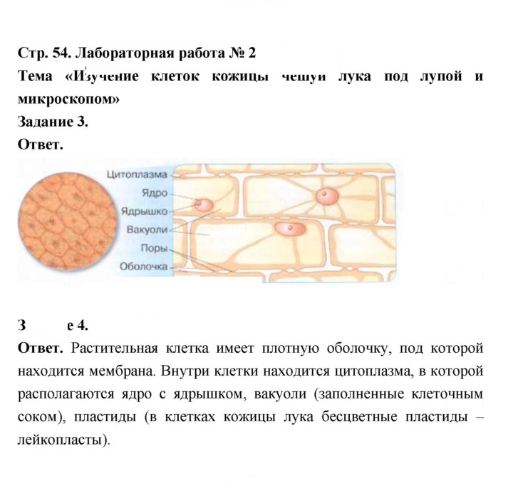Скан решения номера 54
