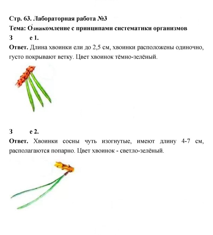 Скан решения номера 63