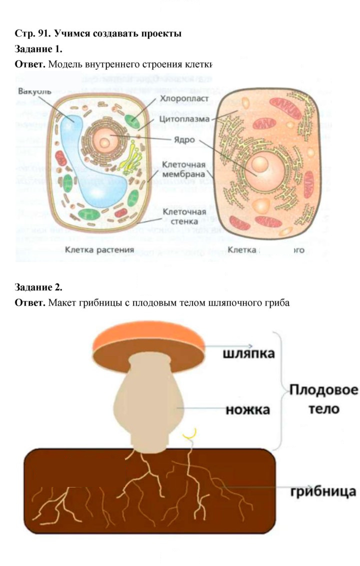 Скан решения номера 91