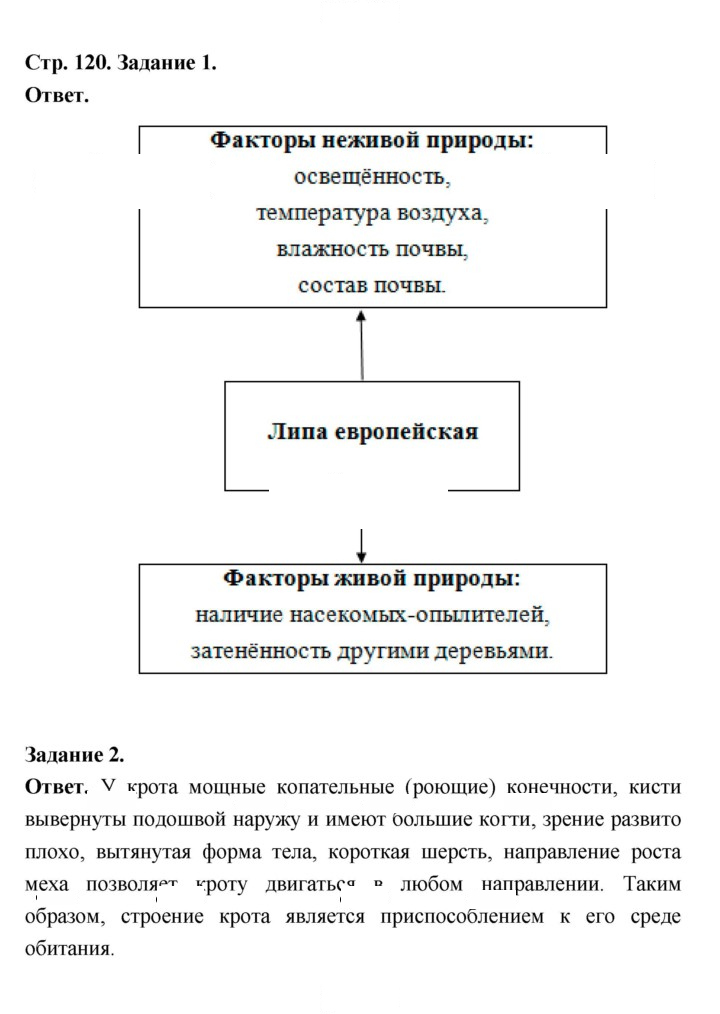 Скан решения номера 120