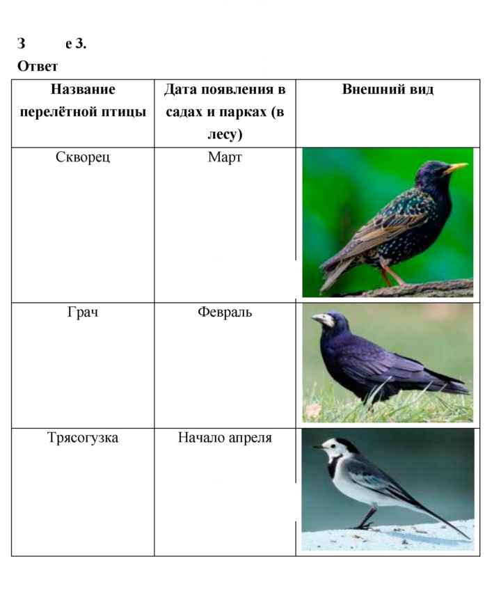 Скан решения номера 120