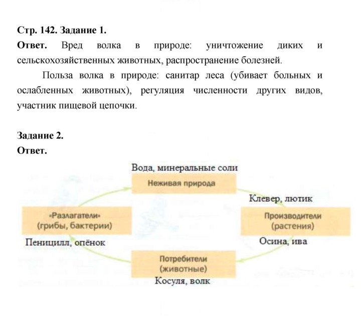 Скан решения номера 142