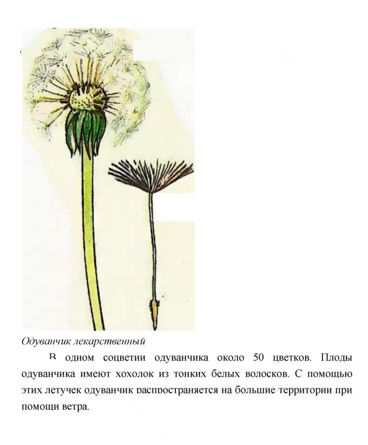 Скан решения номера 157