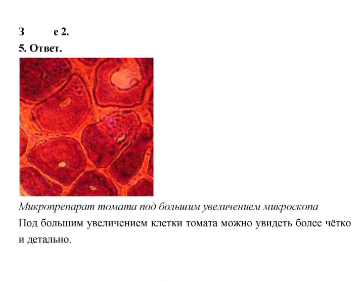 Скан решения номера 38