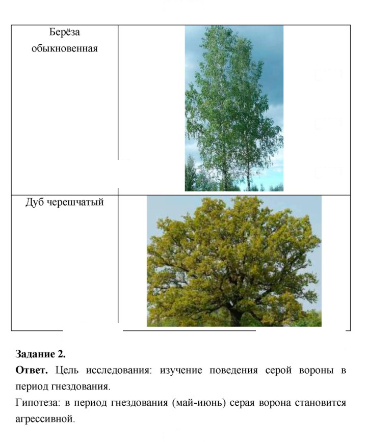 Скан решения номера 41