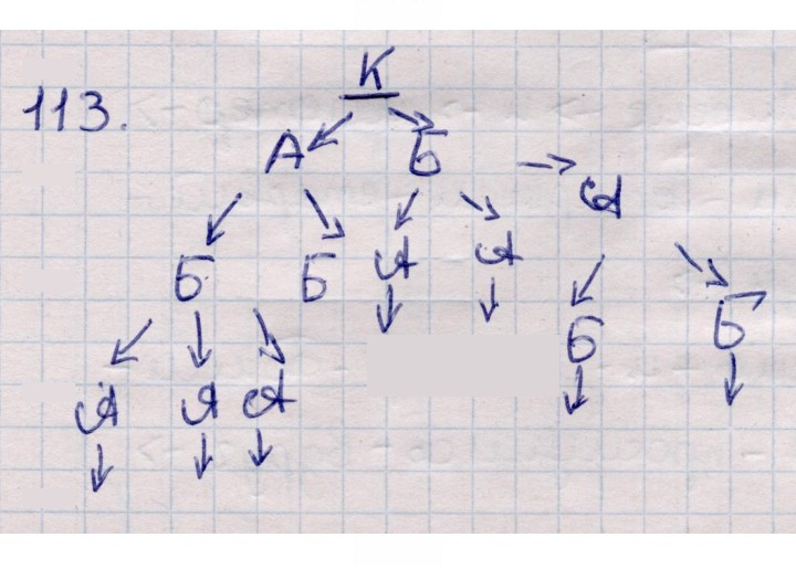 Скан решения номера 113